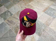 Load image into Gallery viewer, Vintage Florida State Seminoles Twins Enterprises Snapback College Hat