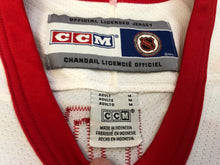 Load image into Gallery viewer, Vintage Detroit Red Wings Brendan shanahan CCM Hockey Jersey, Size Medium