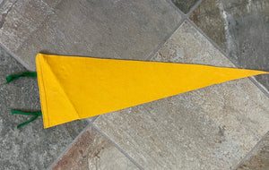 Vintage Oregon Ducks College Pennant