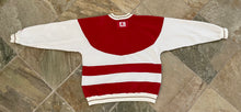 Load image into Gallery viewer, Vintage San Francisco 49ers Starter Football Sweatshirt, Size Large