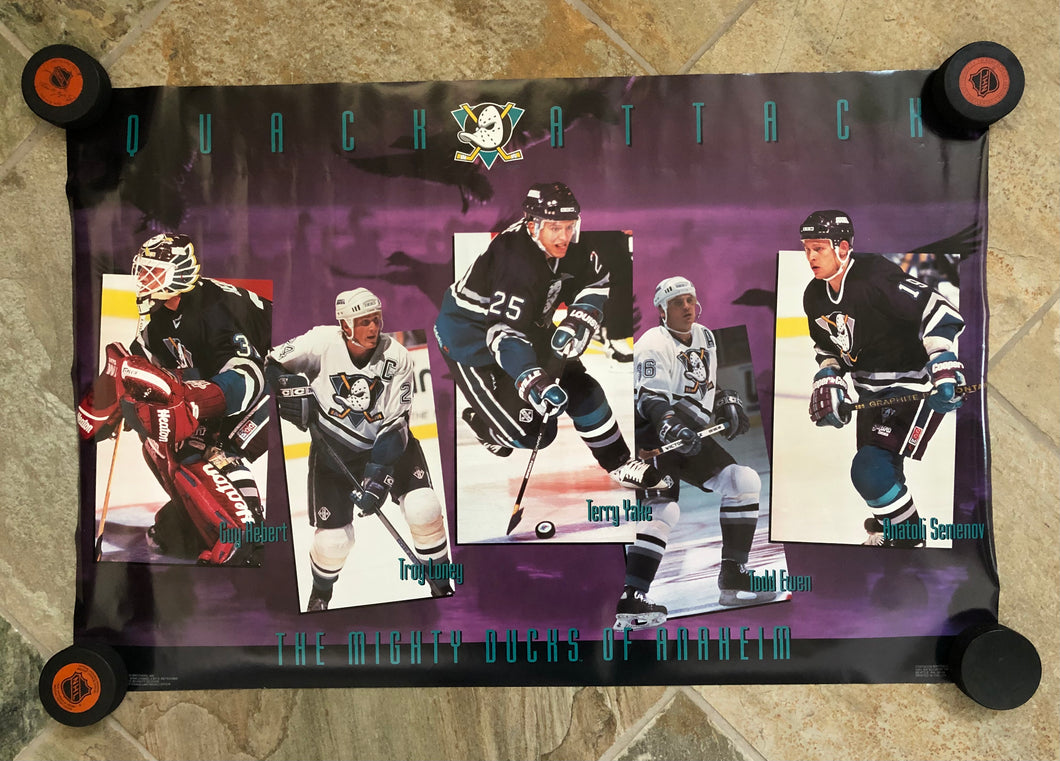 Vintage Mighty Ducks of Anaheim Costacos Brothers NHL Hockey Poster