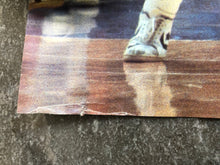 Load image into Gallery viewer, Vintage North Carolina Tar Heels Michael Jordan Converse College Basketball Poster ###