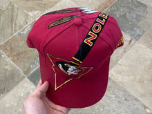 Load image into Gallery viewer, Vintage Florida State Seminoles The Game Big Logo Snapback College Hat