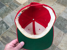 Load image into Gallery viewer, Vintage San Francisco 49ers Sports Specialties Circle Logo Snapback Football Hat