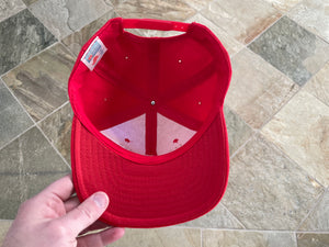 Vintage San Francisco 49ers AJD Signature Snapback Football Hat