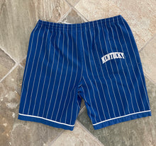 Load image into Gallery viewer, Vintage Kentucky Wildcats Starter Pinstripe College Shorts, Size Large