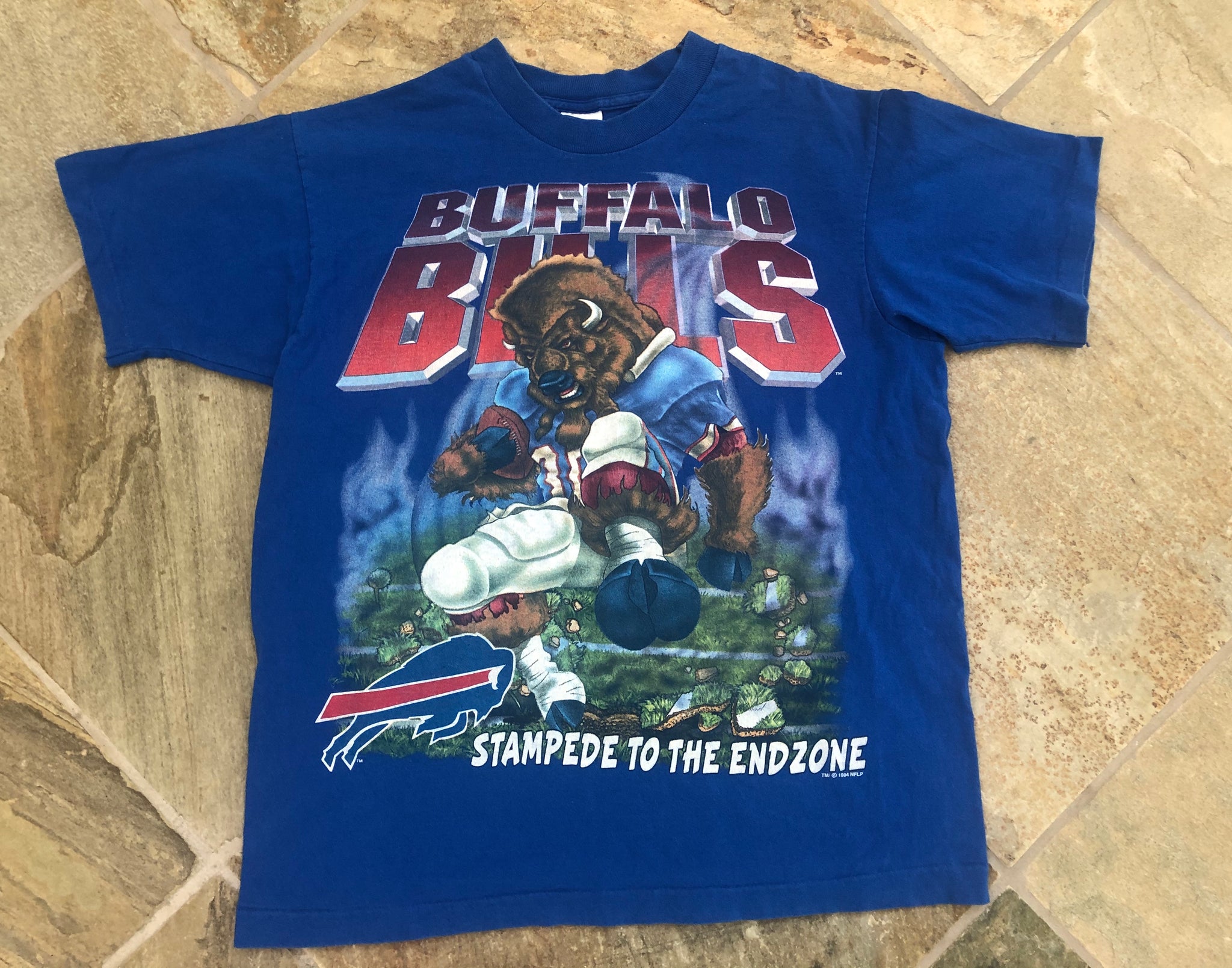 Vintage Buffalo Bills Salem Sportswear Football Tshirt, Size Large