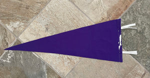 Vintage Northwestern Wild Cats College Pennant