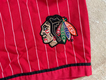 Load image into Gallery viewer, Vintage Chicago Blackhawks Starter Pin Stripe Hockey Shorts, Size Large