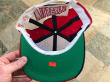 Load image into Gallery viewer, Vintage Arizona Wildcats American Needle Snapback College Hat