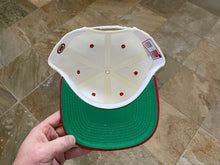 Load image into Gallery viewer, Vintage Carolina Hurricanes Sports Specialties Script Snapback Hockey Hat