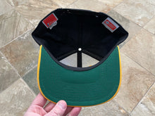 Load image into Gallery viewer, Vintage Wake Forest Demon Decons Twins Snapback College Hat