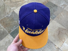 Load image into Gallery viewer, Vintage Washington Huskies Sports Specialties Script Snapback College Hat