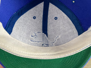 Vintage Detroit Lions American Needle Blockhead Snapback Football Hat