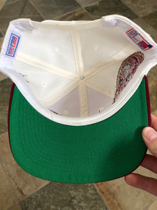 Vintage San Francisco 49ers Sports Specialties Shadow SnapBack Football Hat