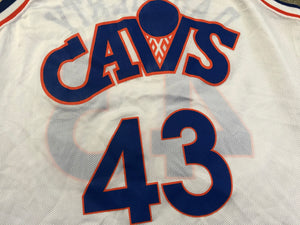 Vintage Cleveland Cavaliers Brad Daugherty Champion Basketball Jersey, Size 44, Large
