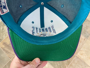 Vintage Charlotte Hornets Starter Denim Snapback Basketball Hat