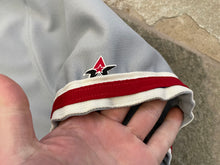Load image into Gallery viewer, Vintage Philadelphia Phillies Alleson Baseball Jersey, Size Large