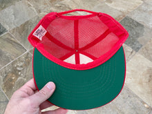 Load image into Gallery viewer, Vintage Anaheim Angels Snapback Baseball Hat