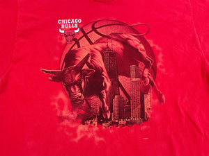 Vintage Chicago Bulls Pro Player Basketball Tshirt, Size XL