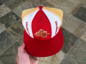 Vintage Philadelphia Stars AJD USFL Snapback Football Hat
