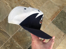 Load image into Gallery viewer, Vintage Florida Panthers Logo 7 Sharktooth Snapback Hockey Hat