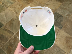 Vintage Tennessee Volunteers Youngan Bar Snapback College Hat