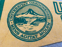 Load image into Gallery viewer, Vintage Oregon Ducks College Pennant