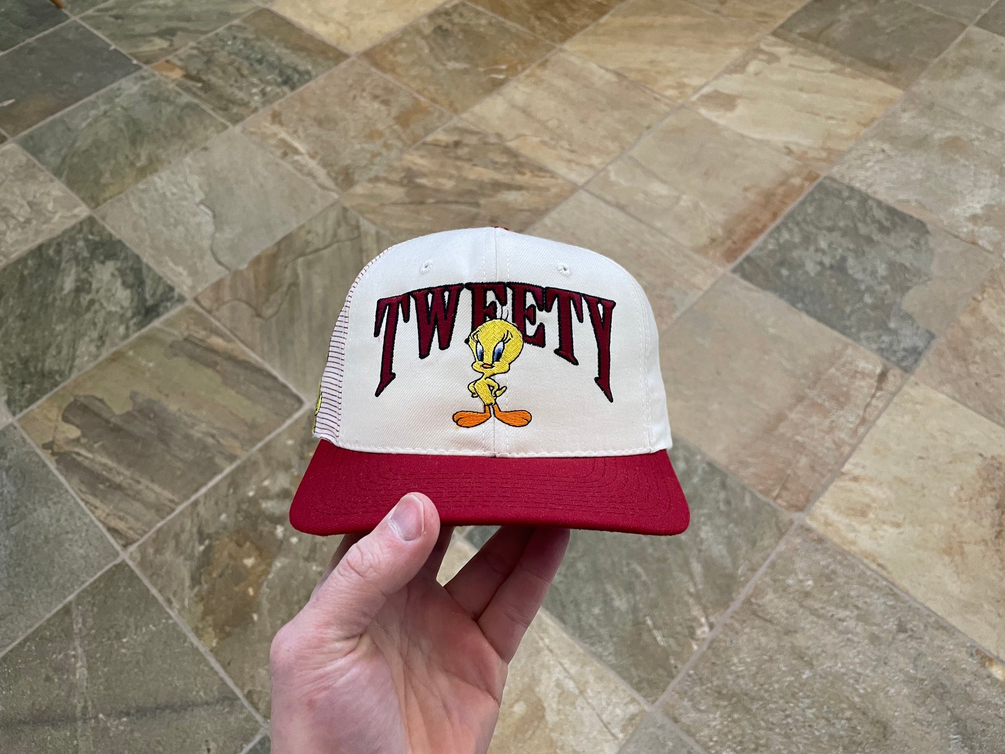 Washington Redskins Taz Looney Tunes Drew Pearson Vintage Snapback