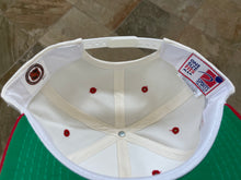 Load image into Gallery viewer, Vintage Carolina Hurricanes Sports Specialties Script Snapback Hockey Hat