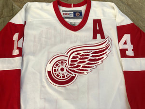 Vintage Detroit Red Wings Brendan shanahan CCM Hockey Jersey, Size Medium