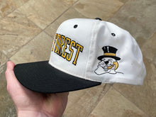 Load image into Gallery viewer, Vintage Wake Forest Demon Decons Snapback College Hat