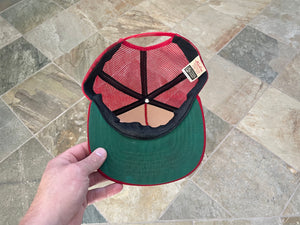 Vintage San Francisco 49ers New Era Snapback Football Hat