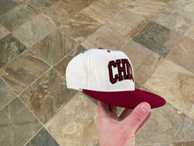 Load image into Gallery viewer, Vintage Chico State Wildcats Pro Line Fitted Baseball Hat, Size 7 3/8