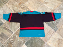 Load image into Gallery viewer, Vintage Detroit Vipers IHL Bauer Hockey Jersey, Size Large