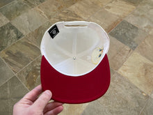 Load image into Gallery viewer, Vintage Tweety Bird Looney Tunes Warner Brothers Laser Snapback Hat