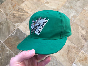 Vintage Philadelphia Eagles American Needle Snapback Football Hat