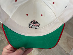 Vintage Georgia Bulldogs American Needle Blockhead Snapback College Hat