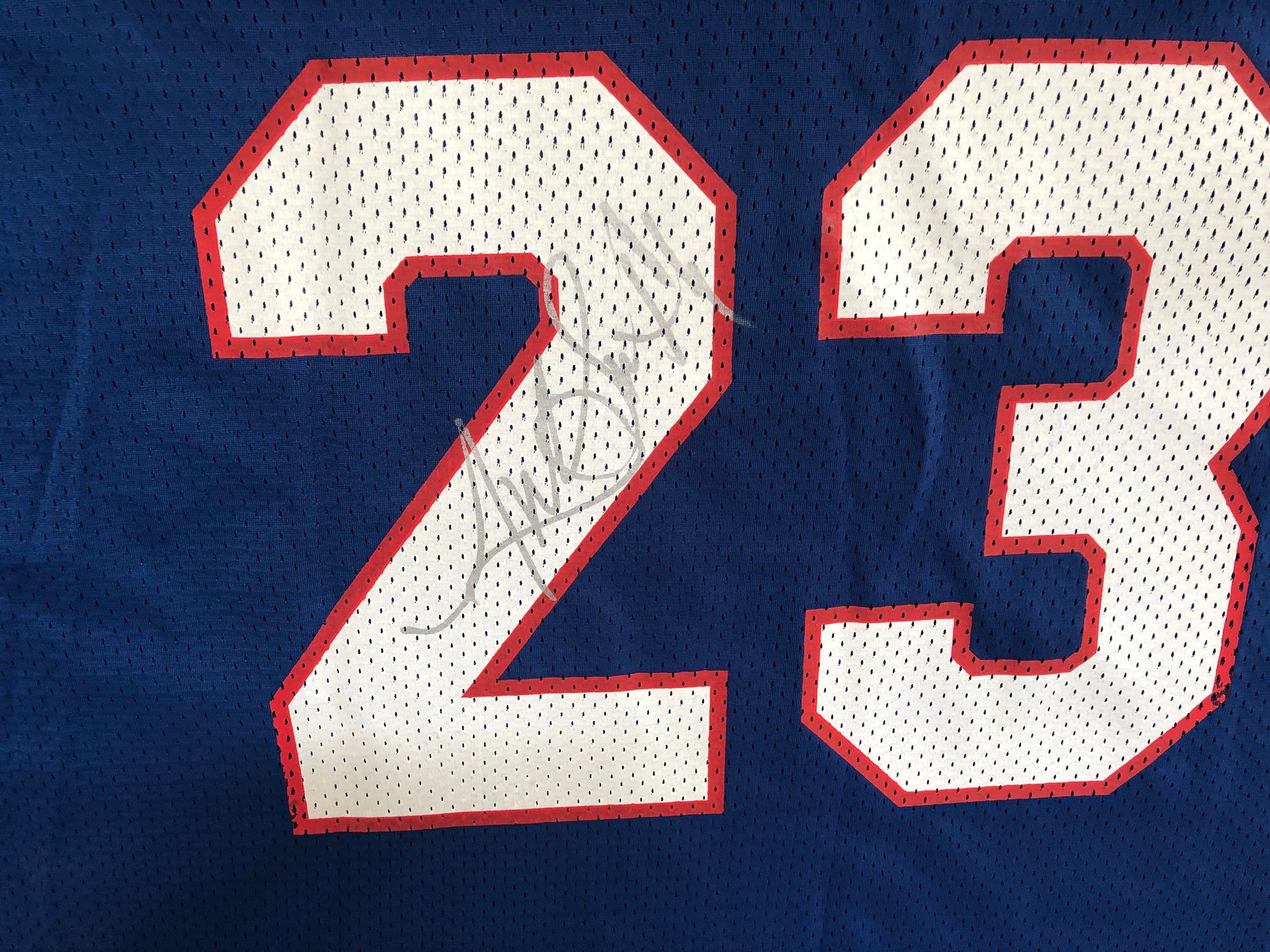 Vintage Buffalo Bills Antowain Smith Champion Jersey – My Cuzin Vintage