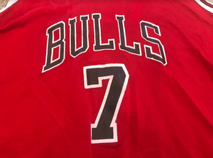 Vintage Chicago Bulls Tony Kukoc Youth Champion Basketball Jersey, Size Youth XL