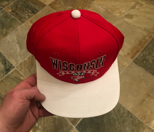 Vintage Wisconsin Badgers The Game College Hat