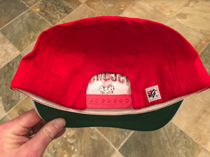 Vintage Wisconsin Badgers The Game College Hat