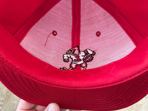 Vintage University of Louisville Cardinals Snapback Hat Circle Logo Pinstripe by The Game New Tag Deadstock