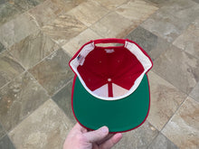 Load image into Gallery viewer, Vintage Georgia Bulldogs Starter Arch Snapback College Hat