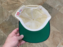 Load image into Gallery viewer, Vintage Detroit Tigers American Needle Crown Royal Snapback Baseball Hat