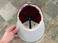 Load image into Gallery viewer, Vintage Hudson Valley Renegades MiLB New Era Fitted Pro Baseball Hat, Size 7 1/2
