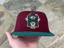Load image into Gallery viewer, Vintage Hudson Valley Renegades MiLB New Era Fitted Pro Baseball Hat, Size 7 1/2