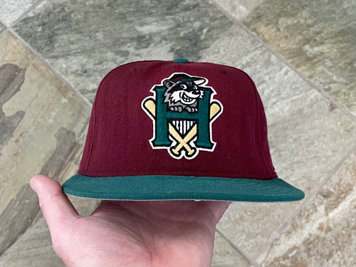 Vintage Hudson Valley Renegades MiLB New Era Fitted Pro Baseball Hat, Size 7 1/2