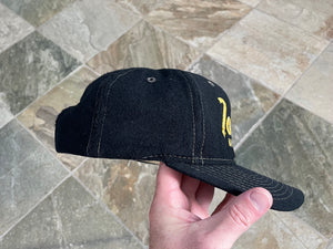 Vintage Iowa Hawkeyes Sports Specialties Script Snapback College Hat