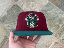 Load image into Gallery viewer, Vintage Hudson Valley Renegades MiLB New Era Fitted Pro Baseball Hat, Size 7 1/2